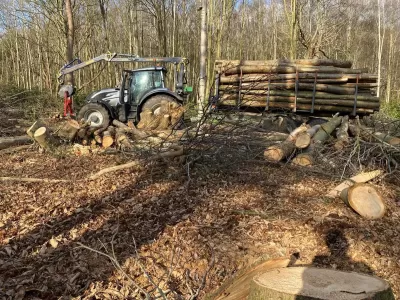 guy-jones-forestry-gallery-11