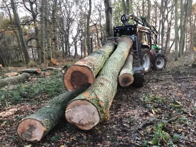 guy-jones-forestry-gallery-13