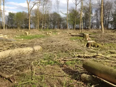guy-jones-forestry-gallery-16