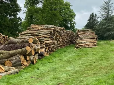 guy-jones-forestry-gallery-17