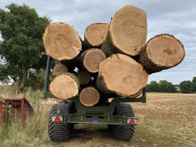 guy-jones-forestry-gallery-19