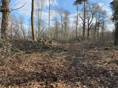guy-jones-forestry-gallery-22