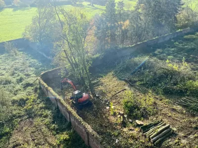 guy-jones-forestry-gallery-23