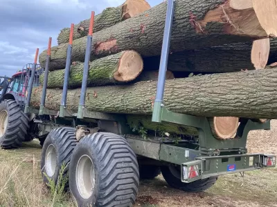guy-jones-forestry-gallery-5