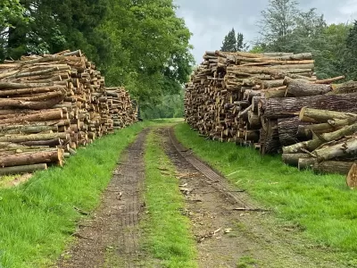 guy-jones-forestry-gallery-6