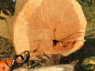 guy-jones-forestry-gallery-9
