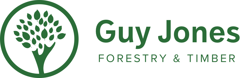 Guy Jones Guy Jones